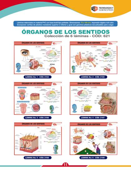 Láminas y Mapas Educativos - página 14