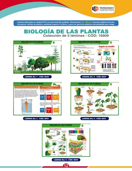 Láminas y Mapas Educativos - página 15