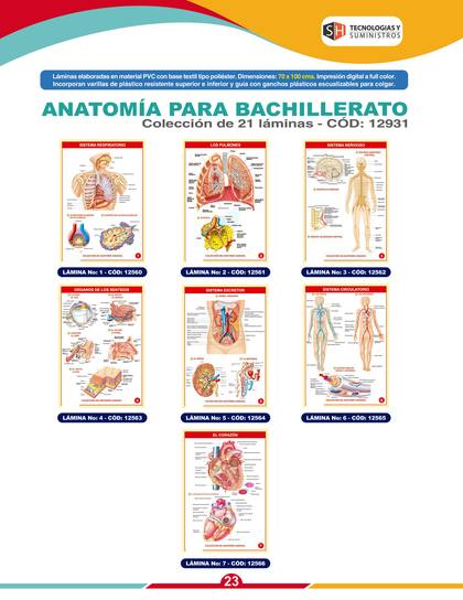Láminas y Mapas Educativos - página 26