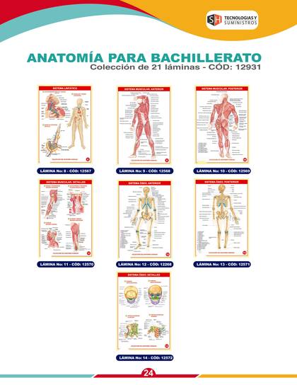 Láminas y Mapas Educativos - página 27