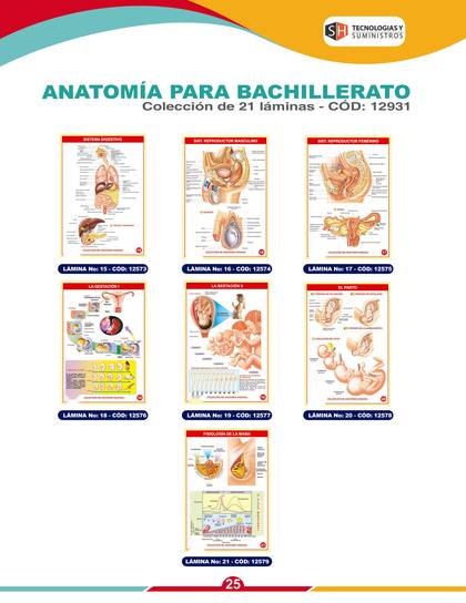 Láminas y Mapas Educativos - página 28