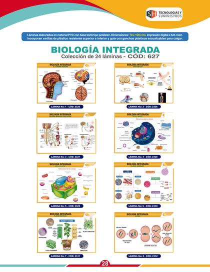 Láminas y Mapas Educativos - página 31
