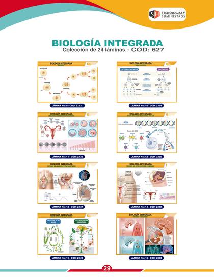 Láminas y Mapas Educativos - página 32