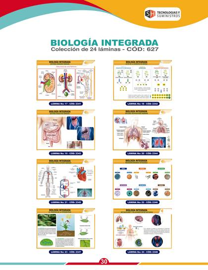 Láminas y Mapas Educativos - página 33