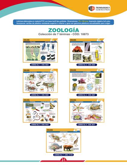Láminas y Mapas Educativos - página 34